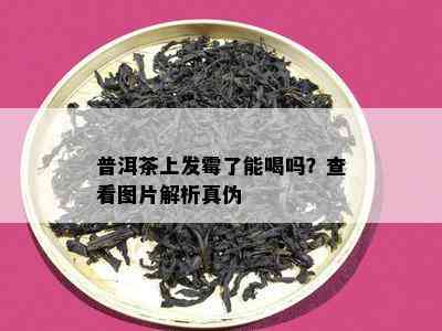 普洱茶上发霉了能喝吗？查看图片解析真伪