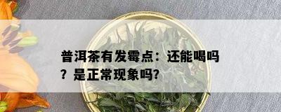 普洱茶有发霉点：还能喝吗？是正常现象吗？