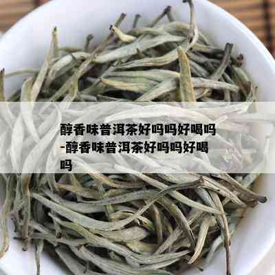 醇香味普洱茶好吗吗好喝吗-醇香味普洱茶好吗吗好喝吗