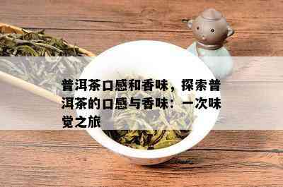 普洱茶口感和香味，探索普洱茶的口感与香味：一次味觉之旅