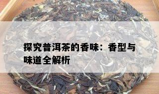 探究普洱茶的香味：香型与味道全解析