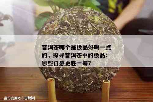 普洱茶哪个是极品好喝一点的，探寻普洱茶中的极品：哪些口感更胜一筹？