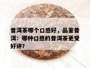 普洱茶哪个口感好，品鉴普洱：哪种口感的普洱茶更受好评？