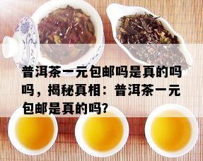 普洱茶一元包邮吗是真的吗吗，揭秘真相：普洱茶一元包邮是真的吗？