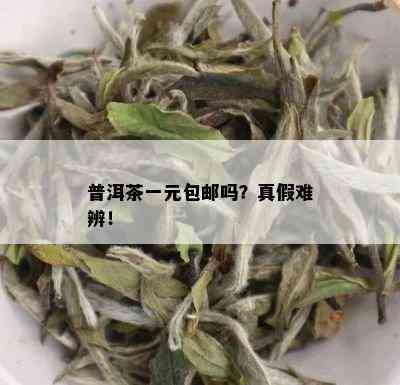 普洱茶一元包邮吗？真假难辨！