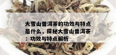 大雪山普洱茶的功效与特点是什么，探秘大雪山普洱茶：功效与特点解析