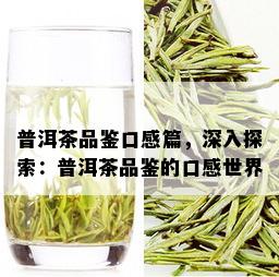 普洱茶品鉴口感篇，深入探索：普洱茶品鉴的口感世界