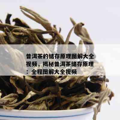 普洱茶的储存原理图解大全视频，揭秘普洱茶储存原理：全程图解大全视频