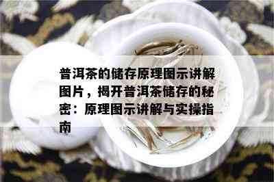 普洱茶的储存原理图示讲解图片，揭开普洱茶储存的秘密：原理图示讲解与实操指南