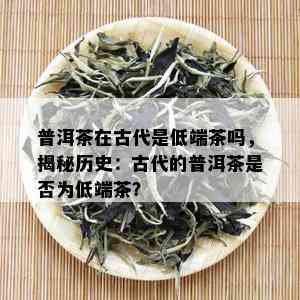 普洱茶在古代是低端茶吗，揭秘历史：古代的普洱茶是否为低端茶？