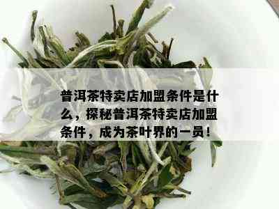 普洱茶特卖店加盟条件是什么，探秘普洱茶特卖店加盟条件，成为茶叶界的一员！