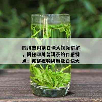 四川普洱茶口诀大视频讲解，揭秘四川普洱茶的口感特点：完整视频讲解及口诀大