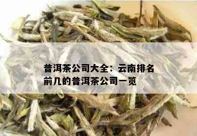 普洱茶公司大全：云南排名前几的普洱茶公司一览