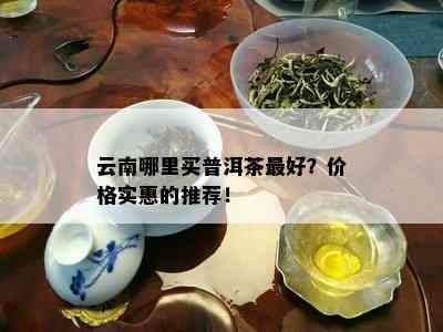 云南哪里买普洱茶更好？价格实惠的推荐！