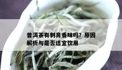 普洱茶有刺鼻香味吗？原因解析与是否适宜饮用