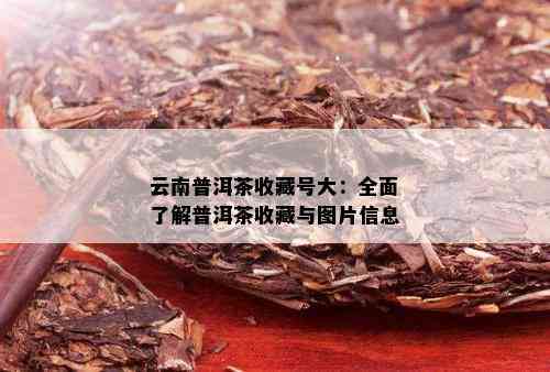 云南普洱茶收藏号大：全面了解普洱茶收藏与图片信息