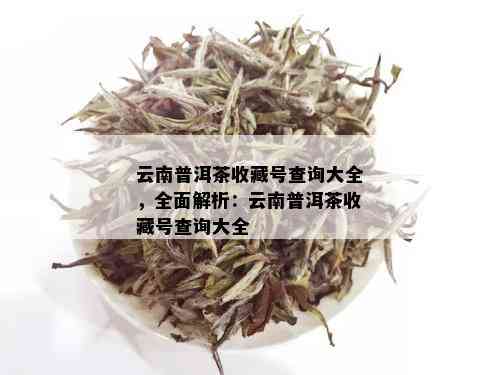 云南普洱茶收藏号查询大全，全面解析：云南普洱茶收藏号查询大全