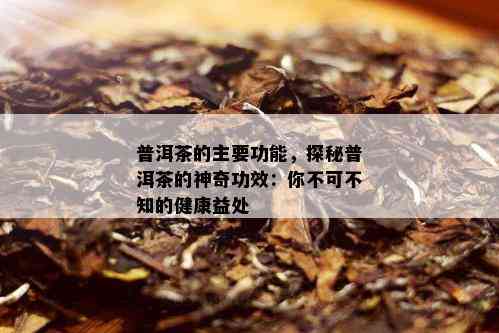 普洱茶的主要功能，探秘普洱茶的神奇功效：你不可不知的健康益处