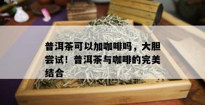 普洱茶可以加咖啡吗，大胆尝试！普洱茶与咖啡的完美结合