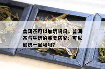 普洱茶可以加奶喝吗，普洱茶与牛奶的完美搭配：可以加奶一起喝吗？