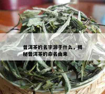 普洱茶的名字源于什么，揭秘普洱茶的命名由来