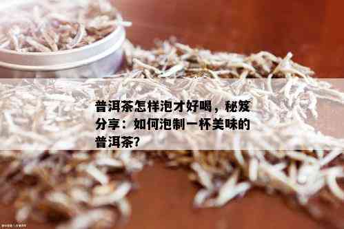 普洱茶怎样泡才好喝，秘笈分享：如何泡制一杯美味的普洱茶？