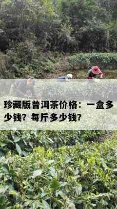 珍藏版普洱茶价格：一盒多少钱？每斤多少钱？