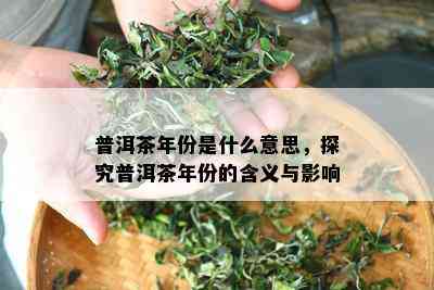 普洱茶年份是什么意思，探究普洱茶年份的含义与影响