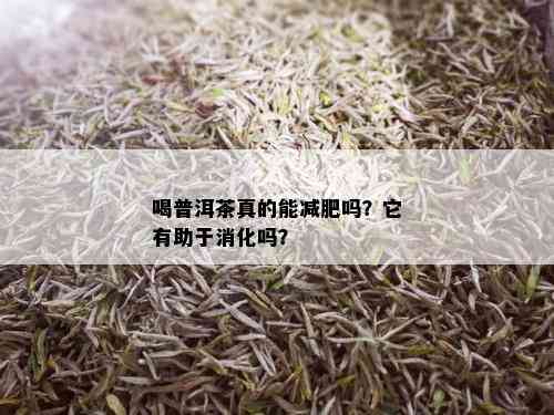 喝普洱茶真的能减肥吗？它有助于消化吗？