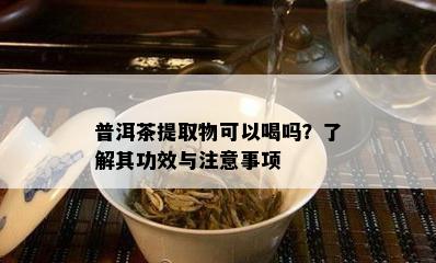 普洱茶提取物可以喝吗？了解其功效与注意事项