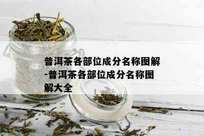 普洱茶各部位成分名称图解-普洱茶各部位成分名称图解大全