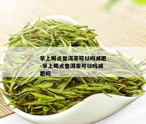 早上喝点普洱茶可以吗减肥-早上喝点普洱茶可以吗减肥吗