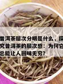 普洱茶层次分明是什么，探究普洱茶的层次感：为何它总能让人回味无穷？