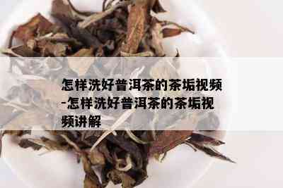 怎样洗好普洱茶的茶垢视频-怎样洗好普洱茶的茶垢视频讲解