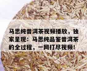 马思纯普洱茶视频播放，独家呈现：马思纯品鉴普洱茶的全过程，一网打尽视频！