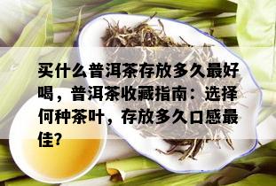 买什么普洱茶存放多久更好喝，普洱茶收藏指南：选择何种茶叶，存放多久口感更佳？