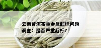 云南普洱茶重金属超标问题调查：是否严重超标？