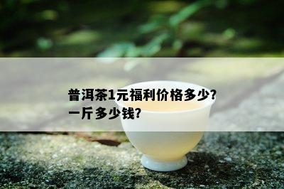 普洱茶1元福利价格多少？一斤多少钱？