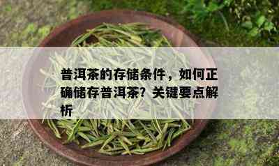 普洱茶的存储条件，如何正确储存普洱茶？关键要点解析