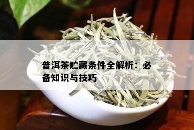 普洱茶贮藏条件全解析：必备知识与技巧