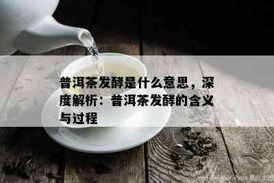 普洱茶发酵是什么意思，深度解析：普洱茶发酵的含义与过程