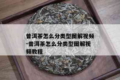 普洱茶怎么分类型图解视频-普洱茶怎么分类型图解视频教程