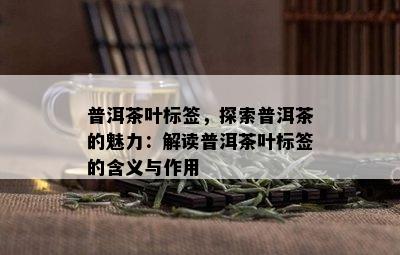 普洱茶叶标签，探索普洱茶的魅力：解读普洱茶叶标签的含义与作用