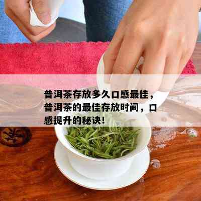 普洱茶存放多久口感更佳，普洱茶的更佳存放时间，口感提升的秘诀！