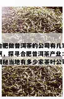 合肥做普洱茶的公司有几家啊，探寻合肥普洱茶产业：揭秘当地有多少家茶叶公司