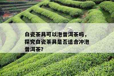 白瓷茶具可以泡普洱茶吗，探究白瓷茶具是否适合冲泡普洱茶？