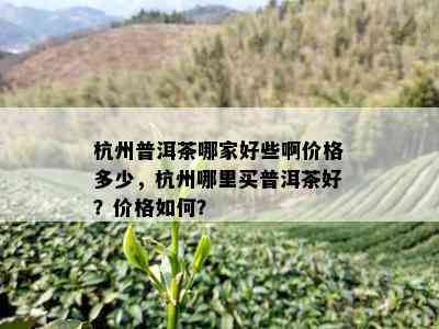 杭州普洱茶哪家好些啊价格多少，杭州哪里买普洱茶好？价格如何？