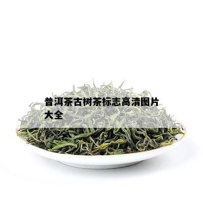 普洱茶古树茶标志高清图片大全