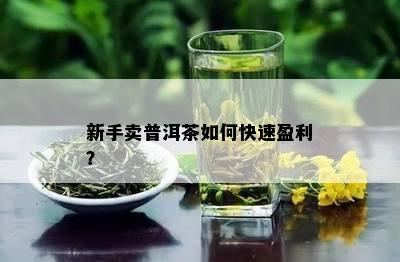 新手卖普洱茶如何快速盈利？