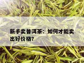 新手卖普洱茶：如何才能卖出好价格？